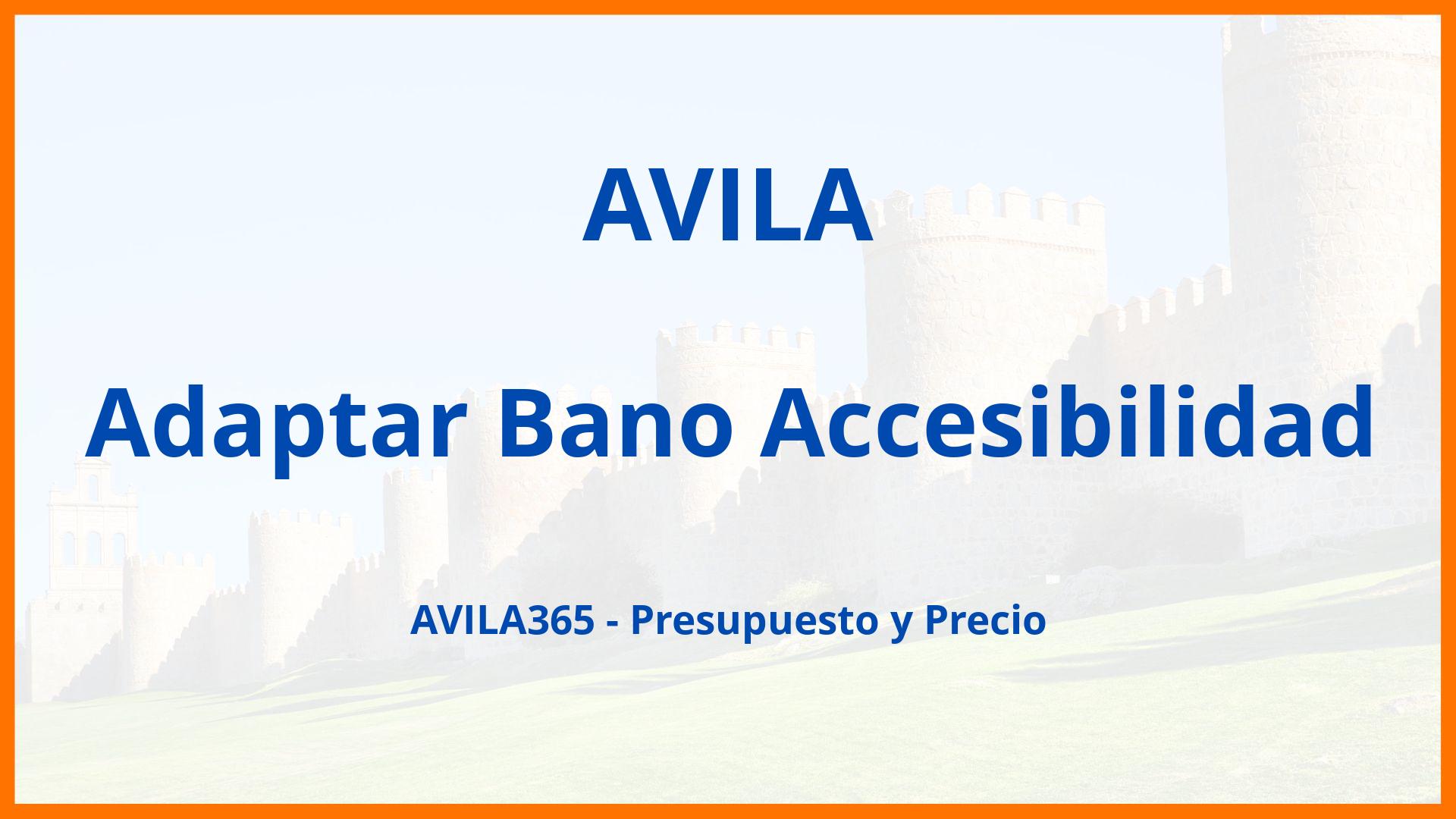 Adaptar Bano Accesibilidad