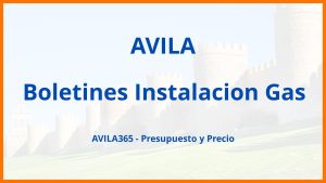 Boletines Instalacion Gas en Avila