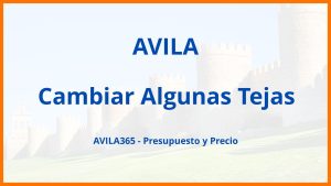 Cambiar Algunas Tejas en Avila