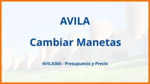 Cambiar Manetas en Avila