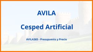 Cesped Artificial en Avila