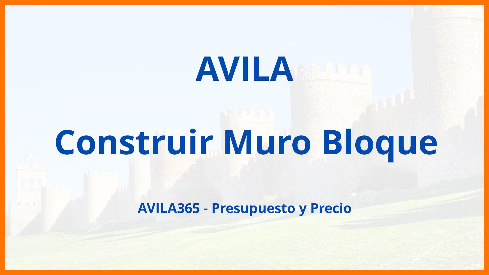 Construir Muro Bloque