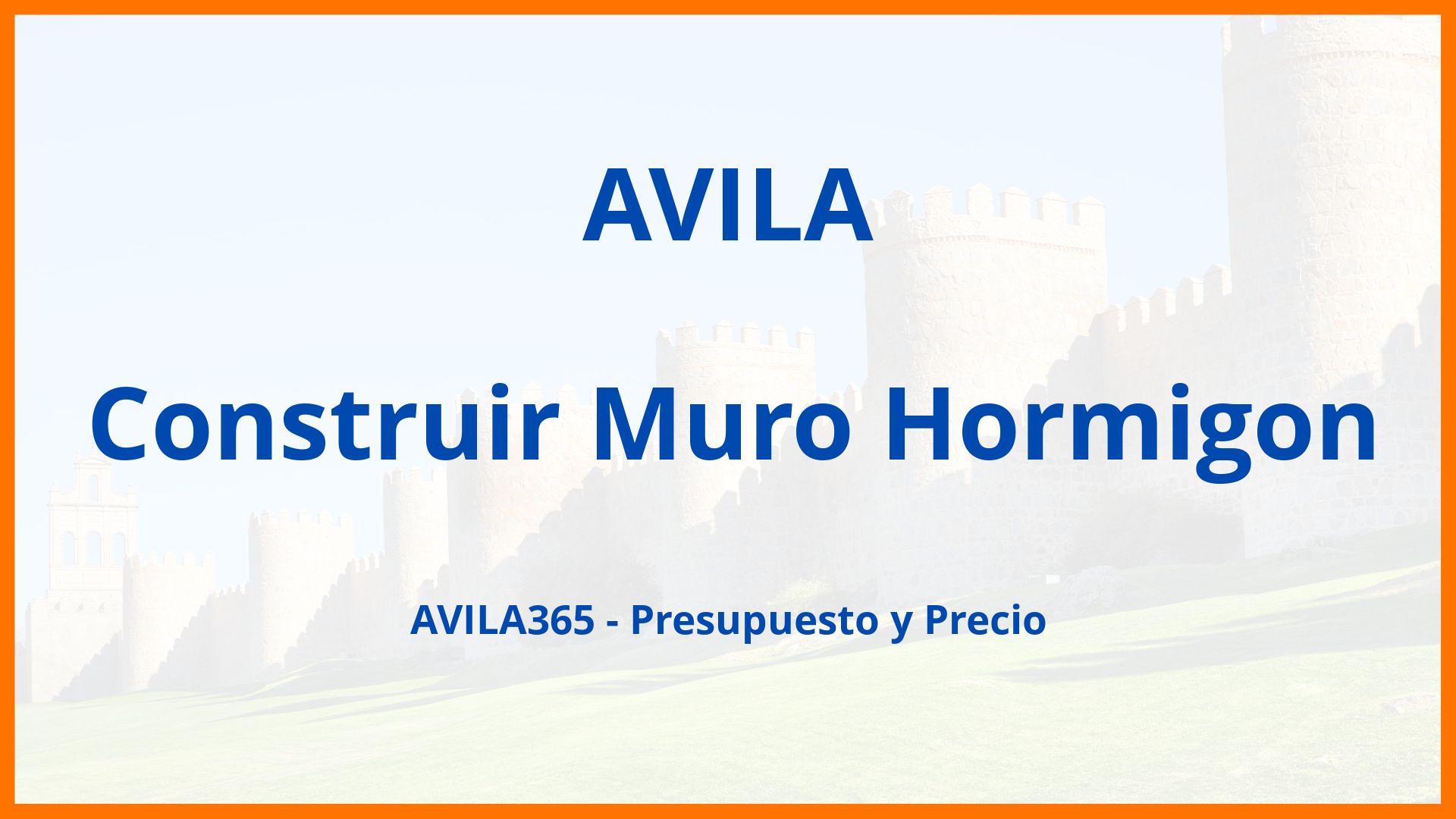 Construir Muro Hormigon