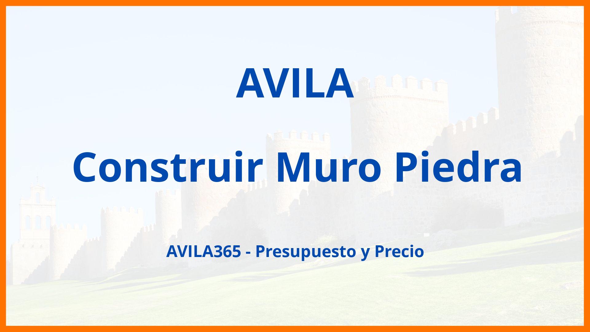 Construir Muro Piedra