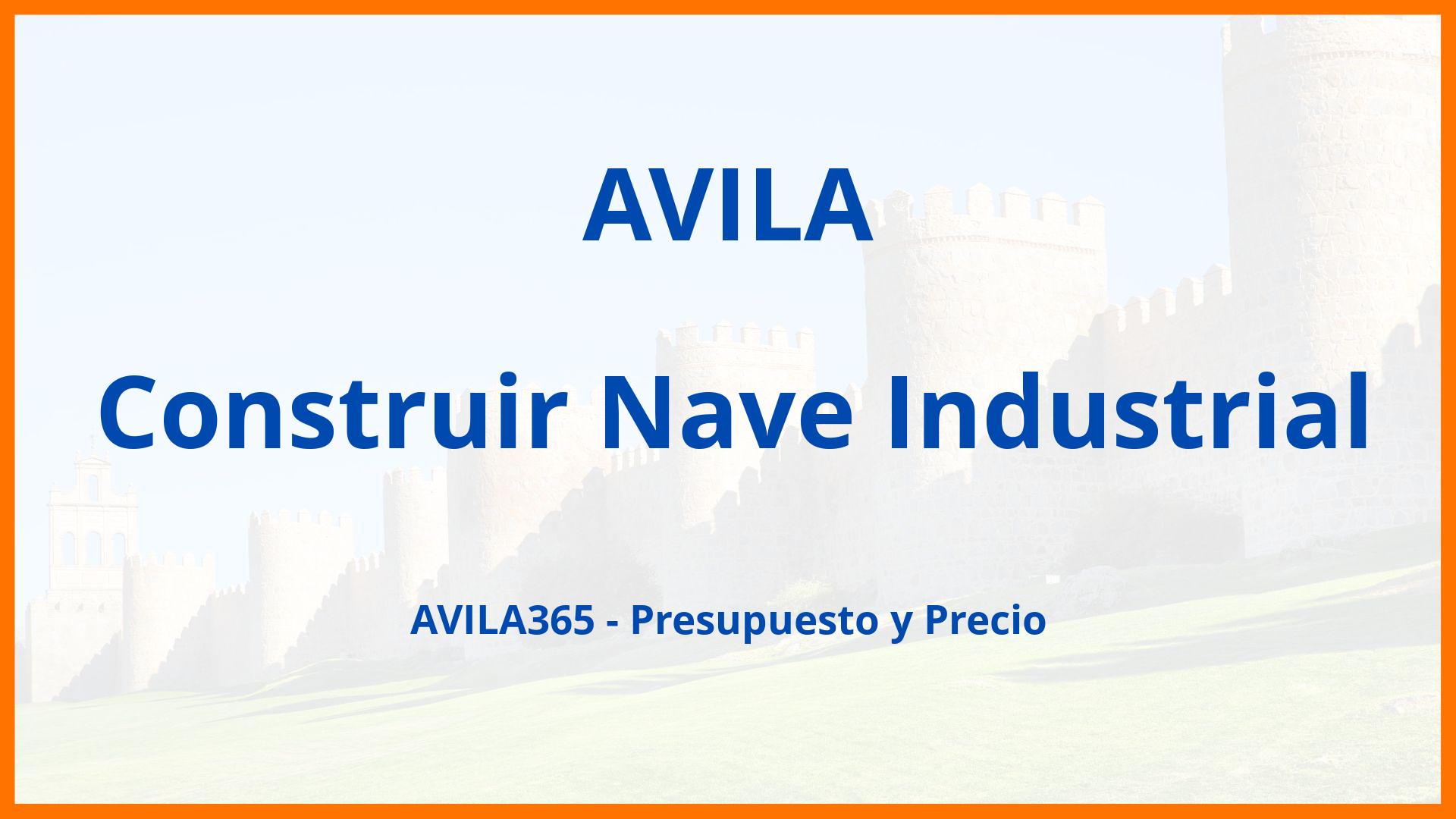 Construir Nave Industrial