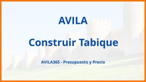 Construir Tabique en Avila