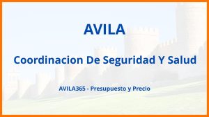 Coordinacion De Seguridad Y Salud en Avila