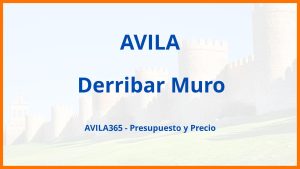 Derribar Muro en Avila