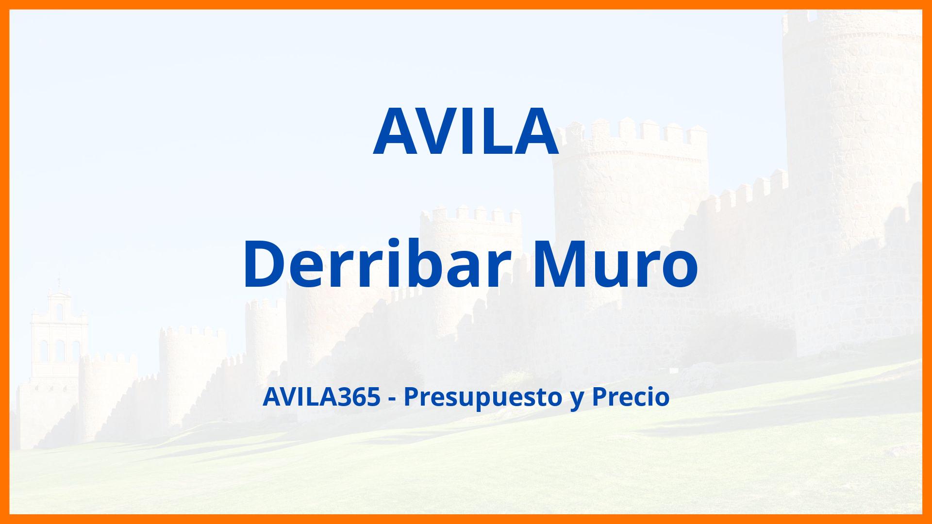 Derribar Muro