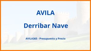 Derribar Nave en Avila