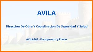 Direccion De Obra Y Coordinacion De Seguridad Y Salud en Avila