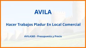 Hacer Trabajos Pladur En Local Comercial en Avila