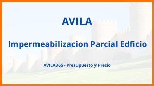 Impermeabilizacion Parcial Edficio en Avila