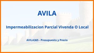 Impermeabilizacion Parcial Vivenda O Local en Avila