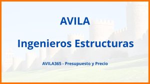 Ingenieros Estructuras en Avila