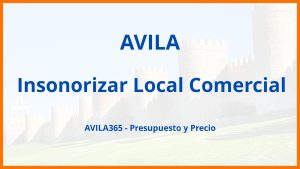 Insonorizar Local Comercial en Avila