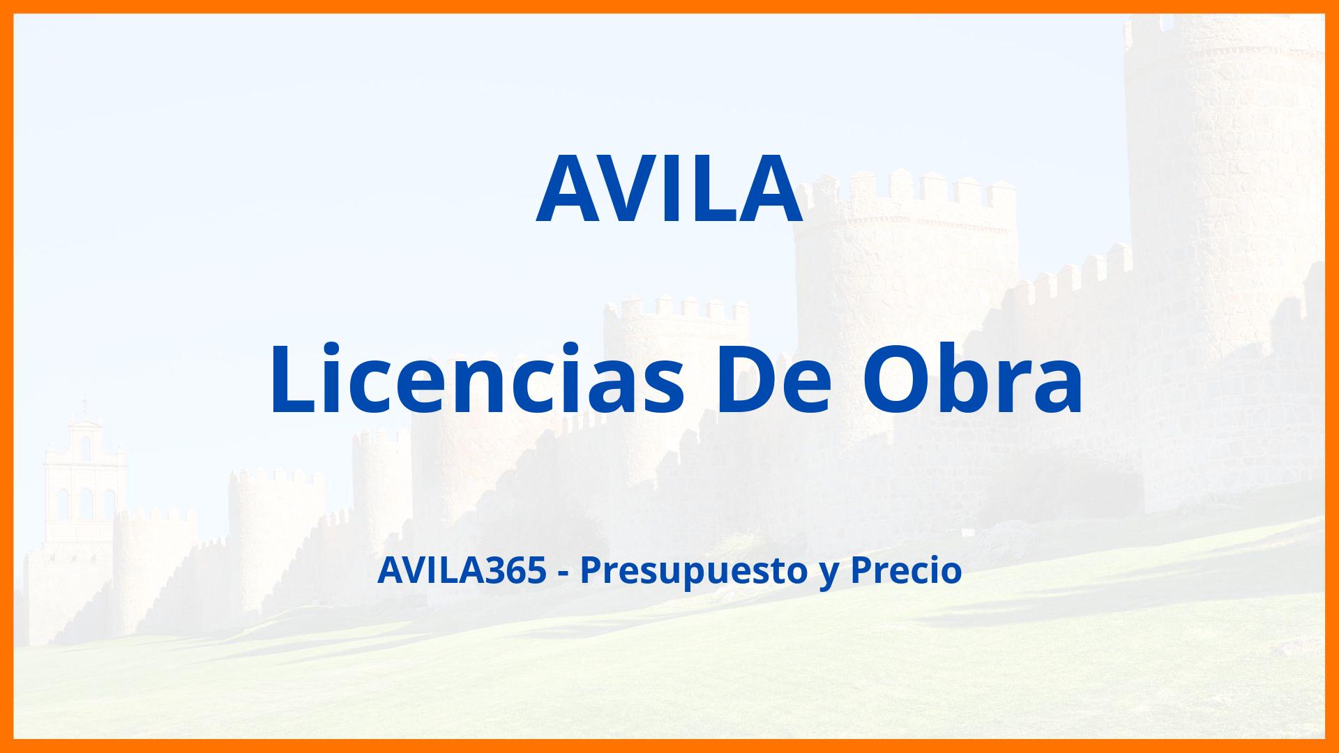 Licencias De Obra