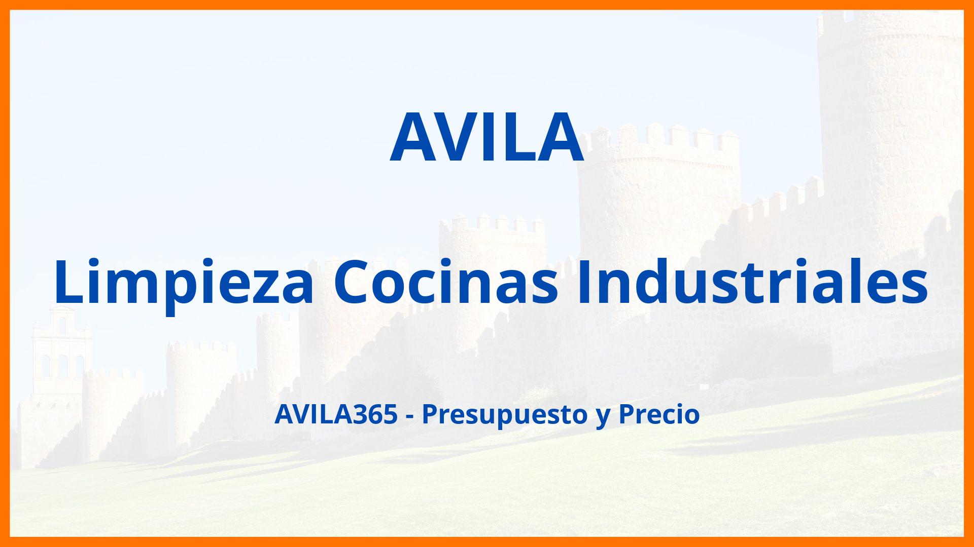 Limpieza Cocinas Industriales