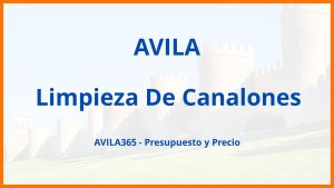 Limpieza De Canalones en Avila