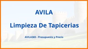 Limpieza De Tapicerias en Avila