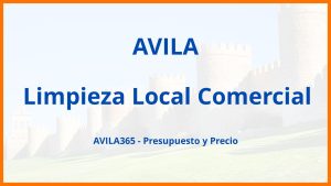 Limpieza Local Comercial en Avila