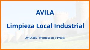 Limpieza Local Industrial en Avila