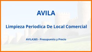 Limpieza Periodica De Local Comercial en Avila