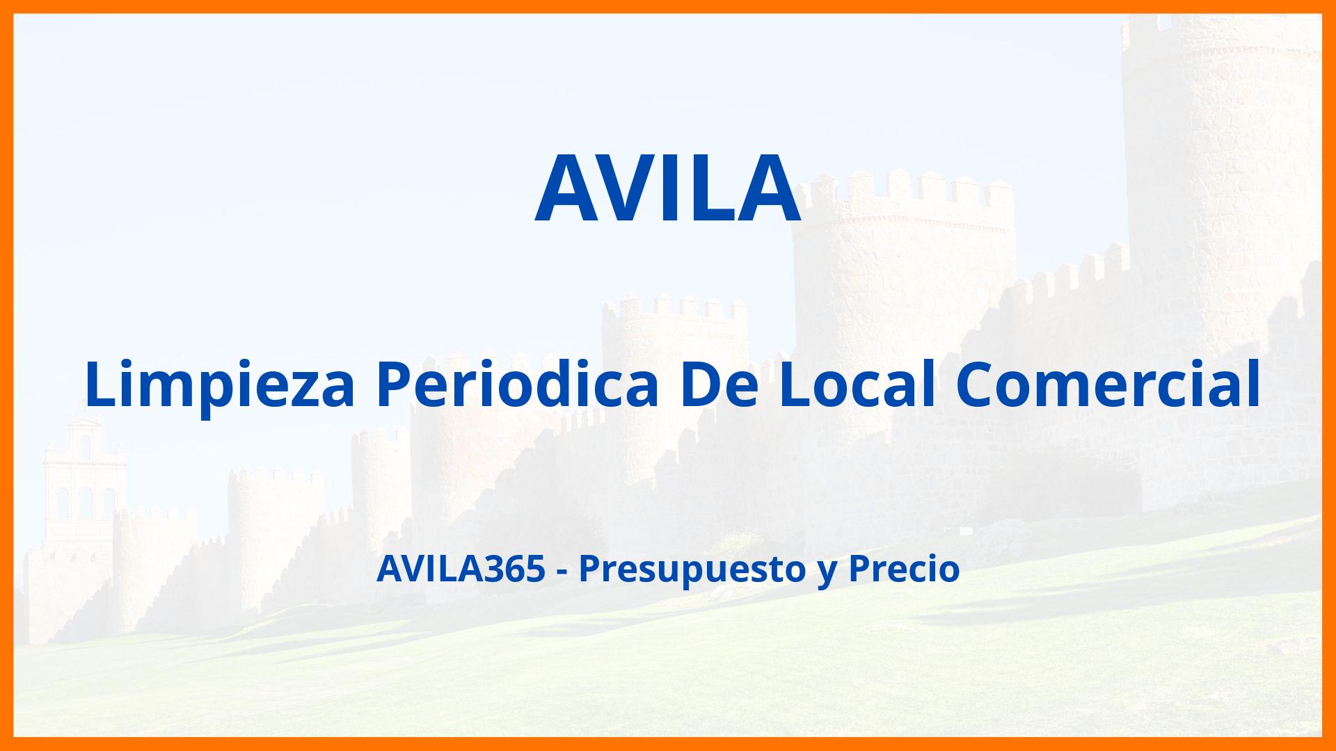 Limpieza Periodica De Local Comercial