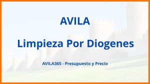 Limpieza Por Diogenes en Avila