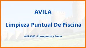 Limpieza Puntual De Piscina en Avila