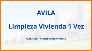 Limpieza Vivienda 1 Vez en Avila