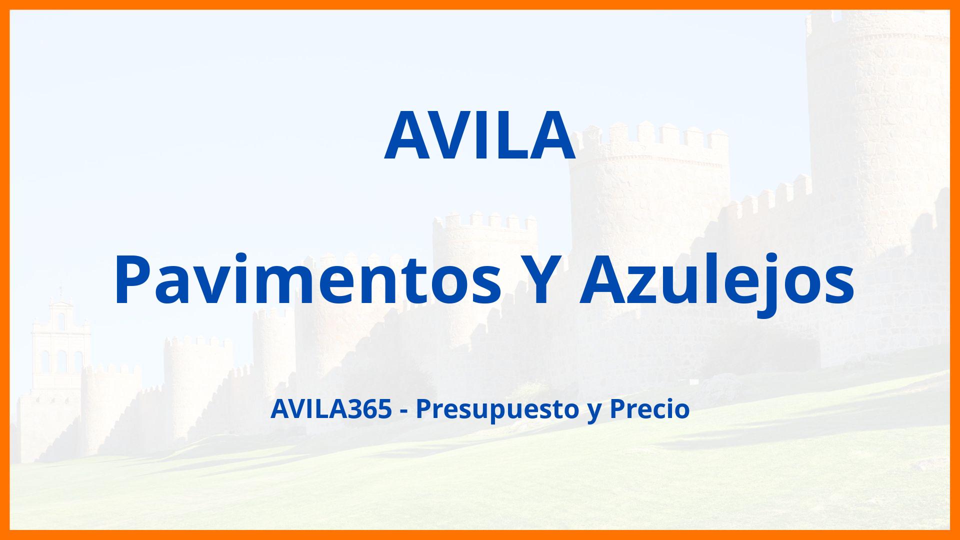 Pavimentos Y Azulejos