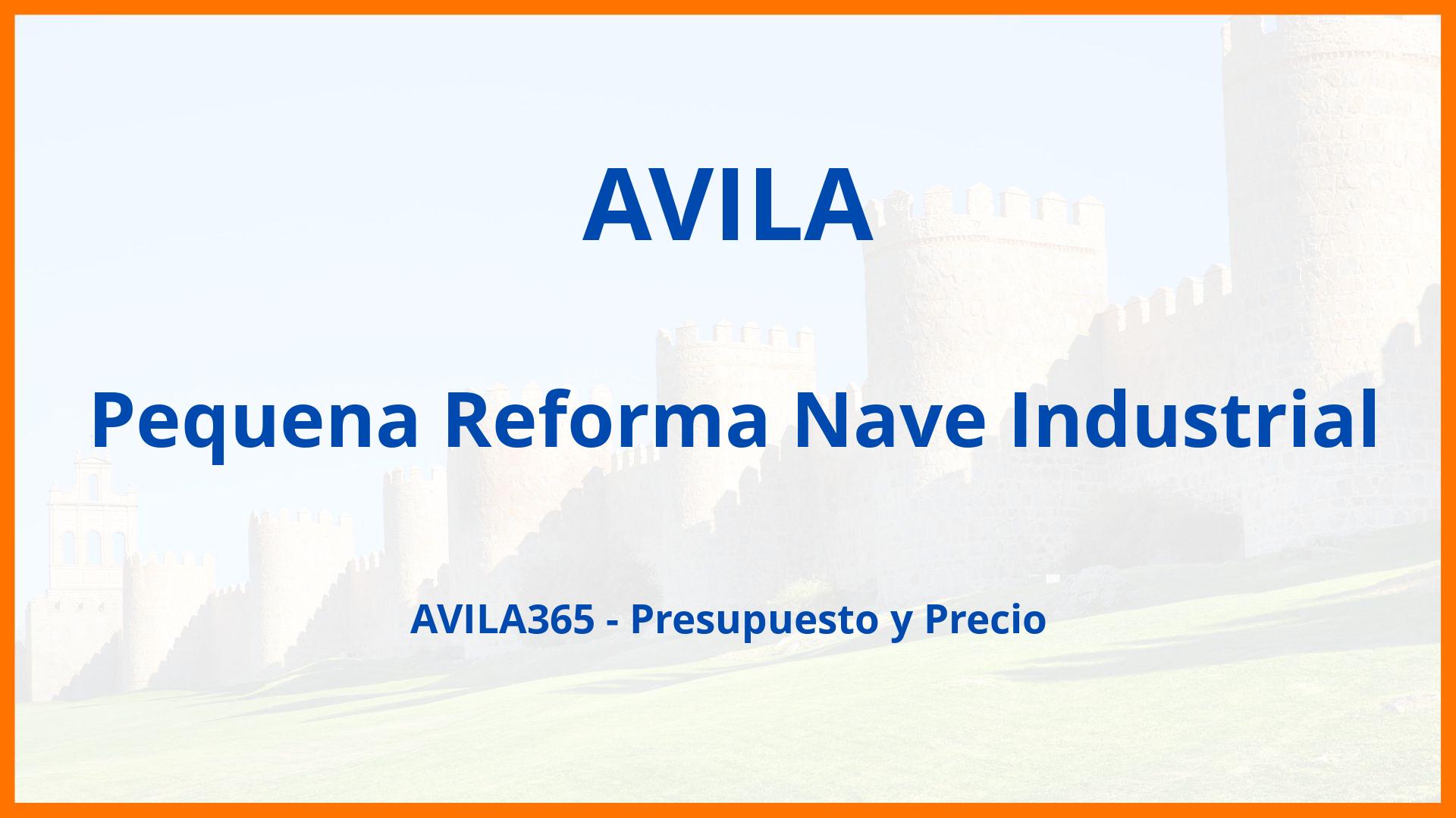 Pequena Reforma Nave Industrial