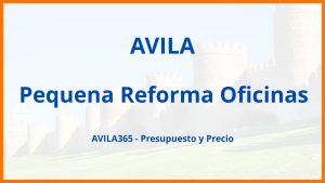 Pequena Reforma Oficinas en Avila