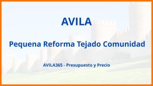 Pequena Reforma Tejado Comunidad en Avila