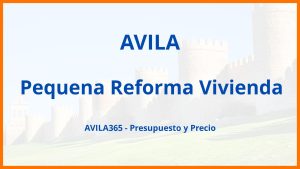 Pequena Reforma Vivienda en Avila