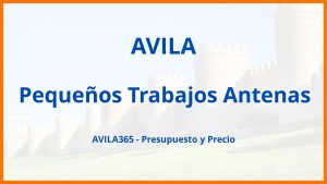 Pequeños Trabajos Antenas en Avila