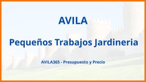 Pequeños Trabajos Jardineria en Avila