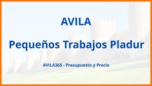 Pequeños Trabajos Pladur en Avila