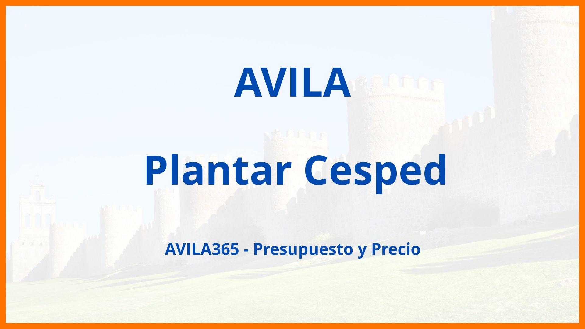 Plantar Cesped