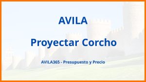 Proyectar Corcho en Avila