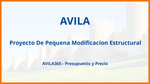 Proyecto De Pequena Modificacion Estructural en Avila