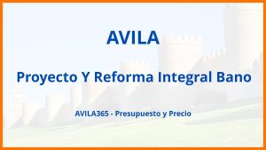 Proyecto Y Reforma Integral Bano en Avila