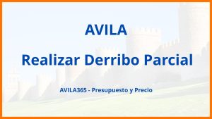 Realizar Derribo Parcial en Avila