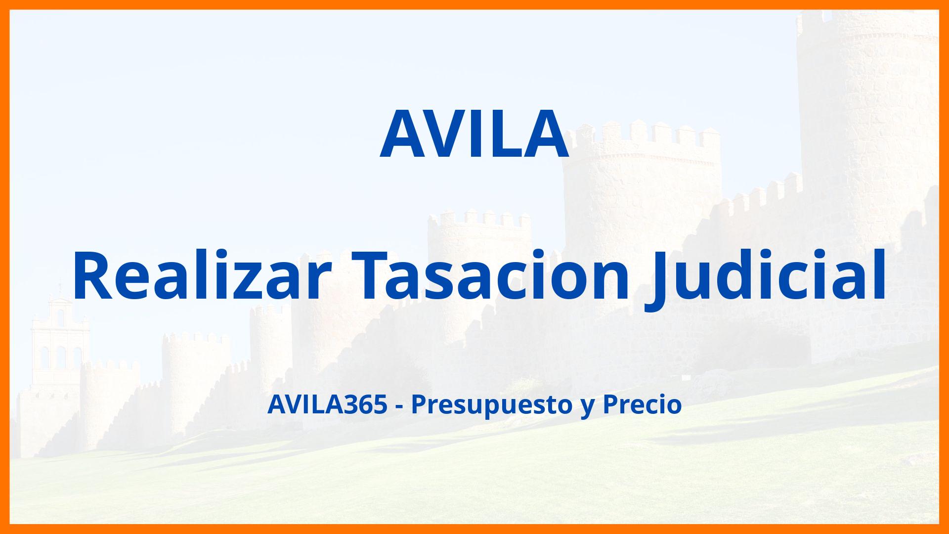 Realizar Tasacion Judicial