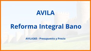 Reforma Integral Bano en Avila