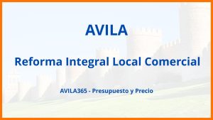 Reforma Integral Local Comercial en Avila