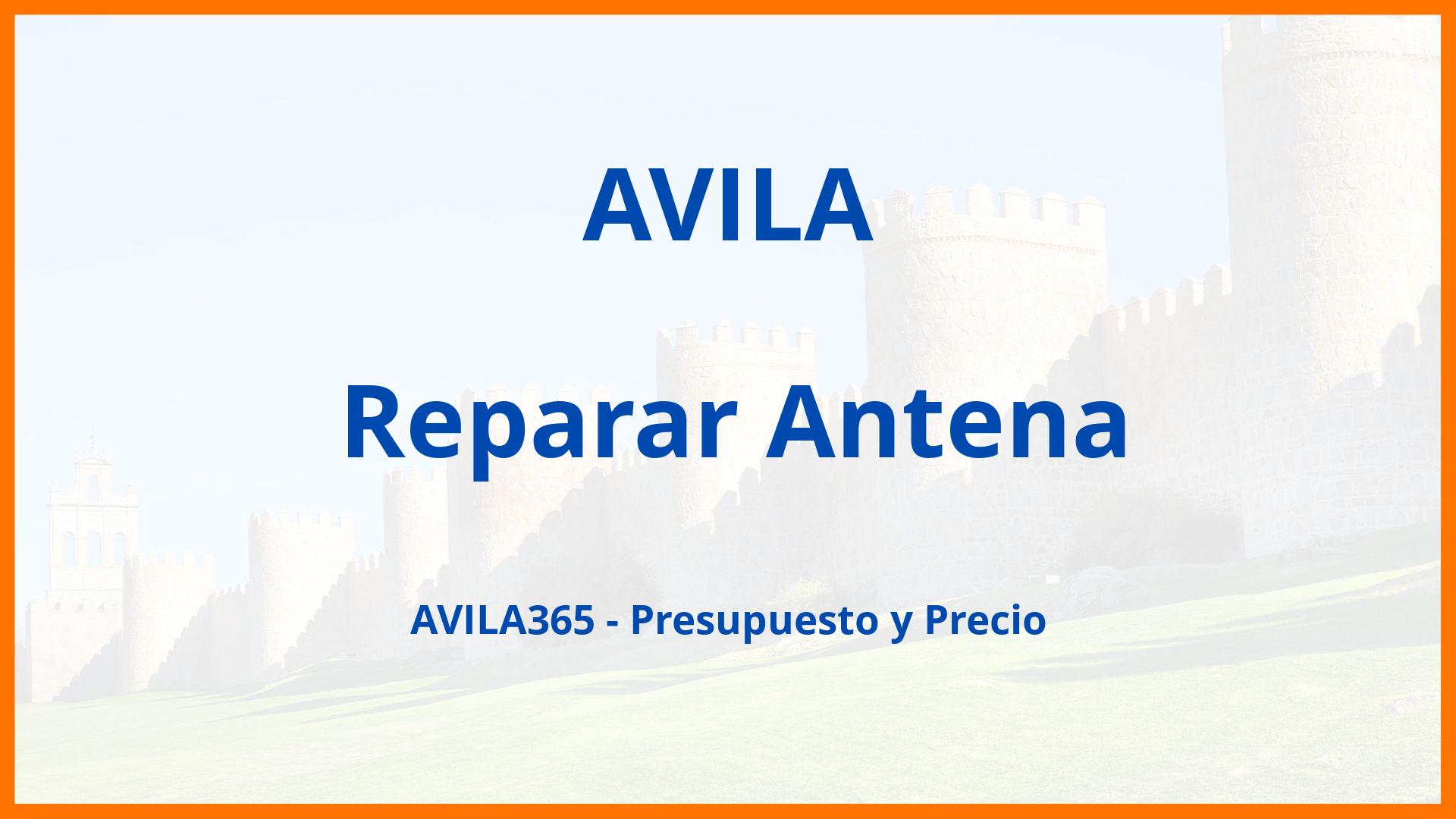 Reparar Antena