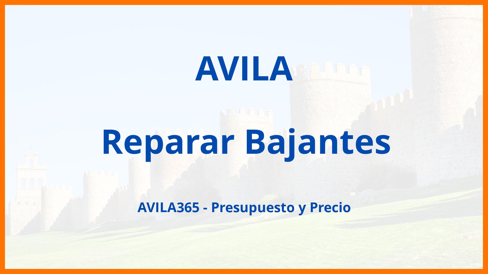 Reparar Bajantes