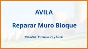 Reparar Muro Bloque en Avila